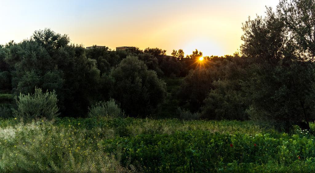 Riad Sougtani Tazrou Dış mekan fotoğraf