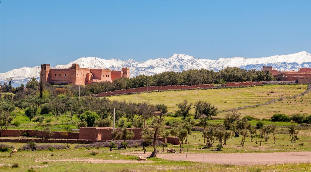 Riad Sougtani Tazrou Dış mekan fotoğraf